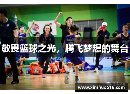敬畏篮球之光，腾飞梦想的舞台